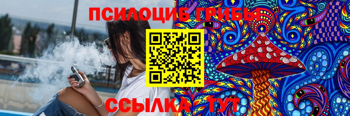 Галлюциногенные грибы Psilocybine cubensis Калуга