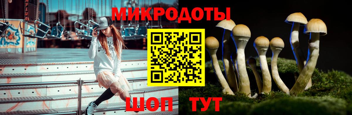 Калуга  Галлюциногенные грибы прущие грибы  Вход с VPN 